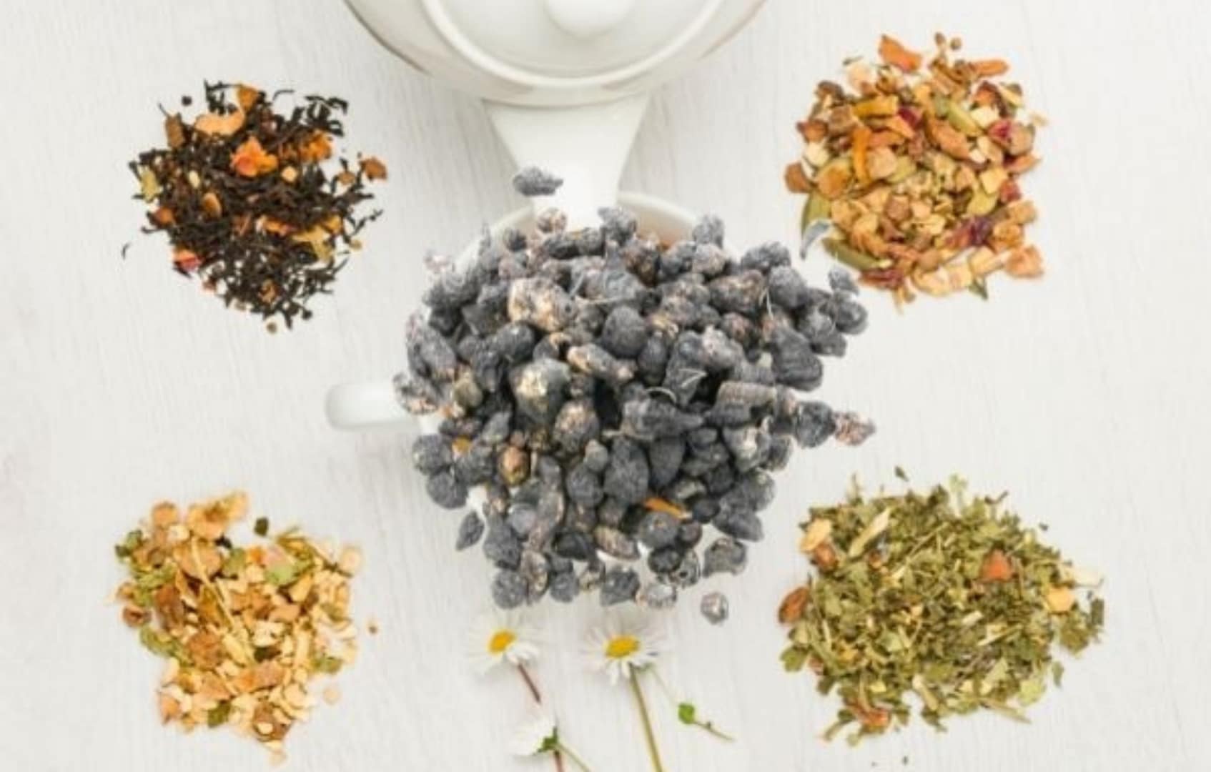 4 plantes idéales pour la femme