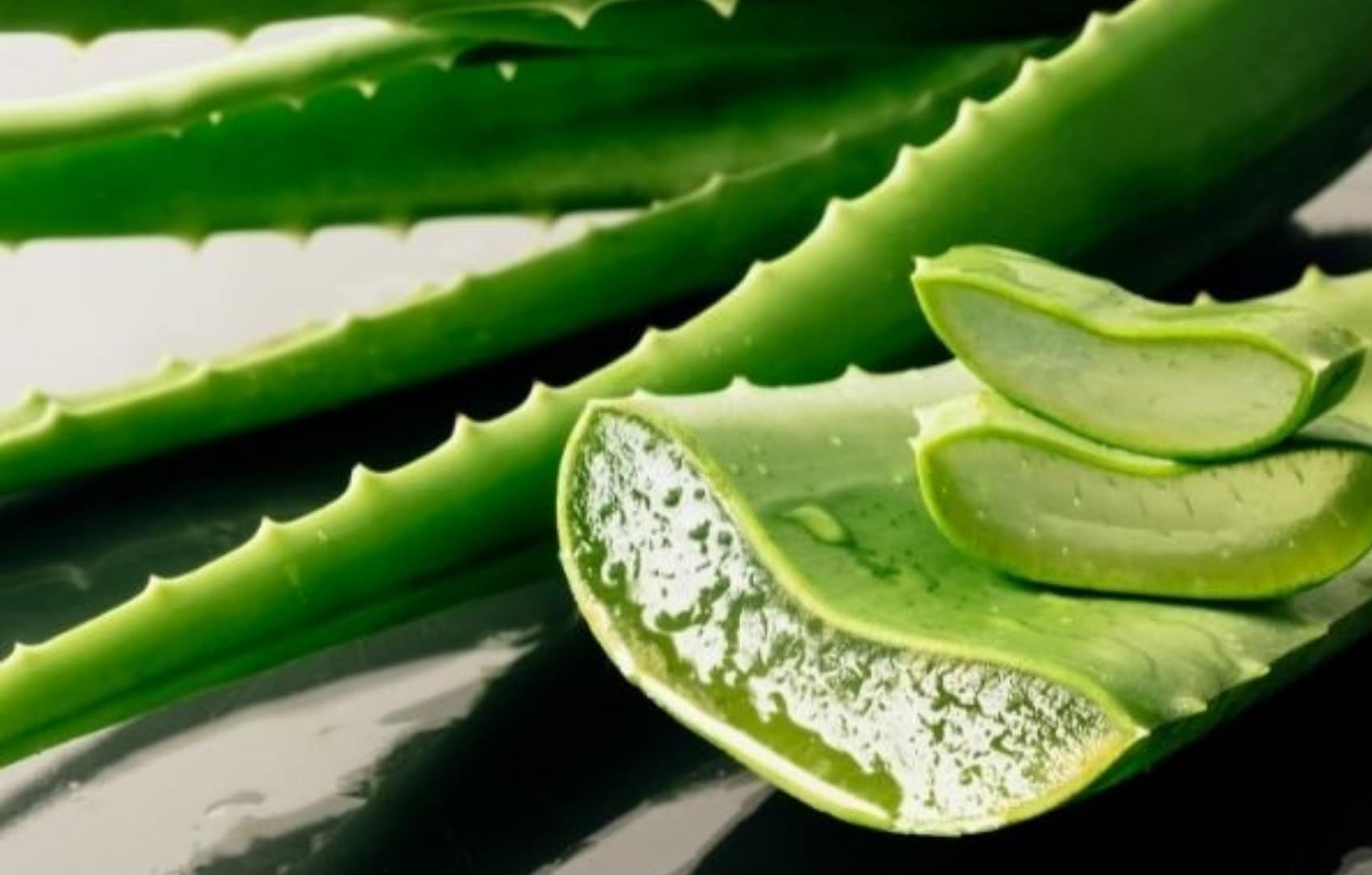 Aloe vera
