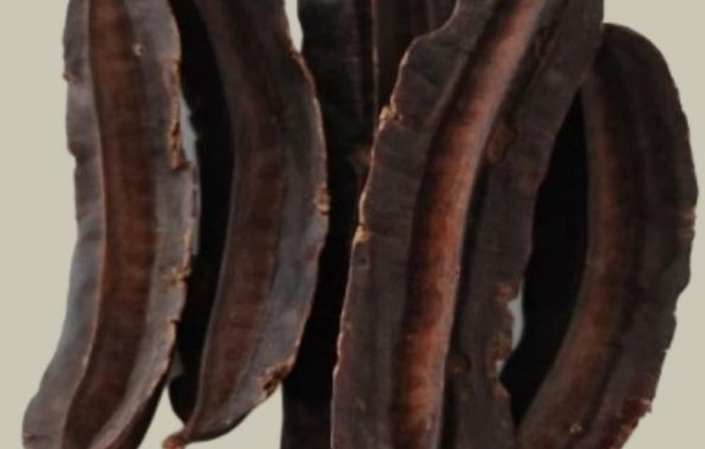 Extrait De Plantes '4 Côtés' - Fertilité, Libido, Endurance - Produit Naturel Neuf