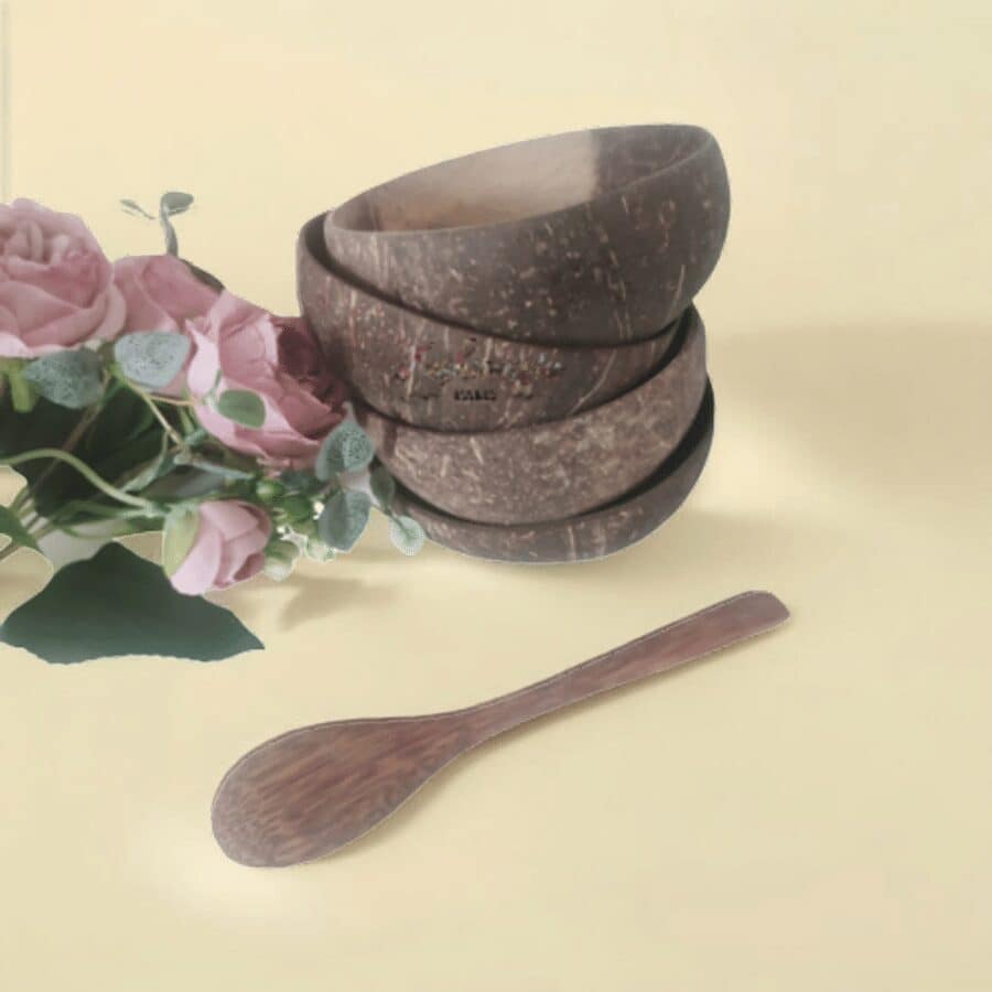 Bol + cuillère en noix de coco naturel