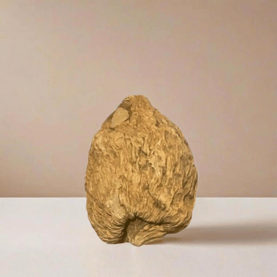 Gousse piment de Guinée