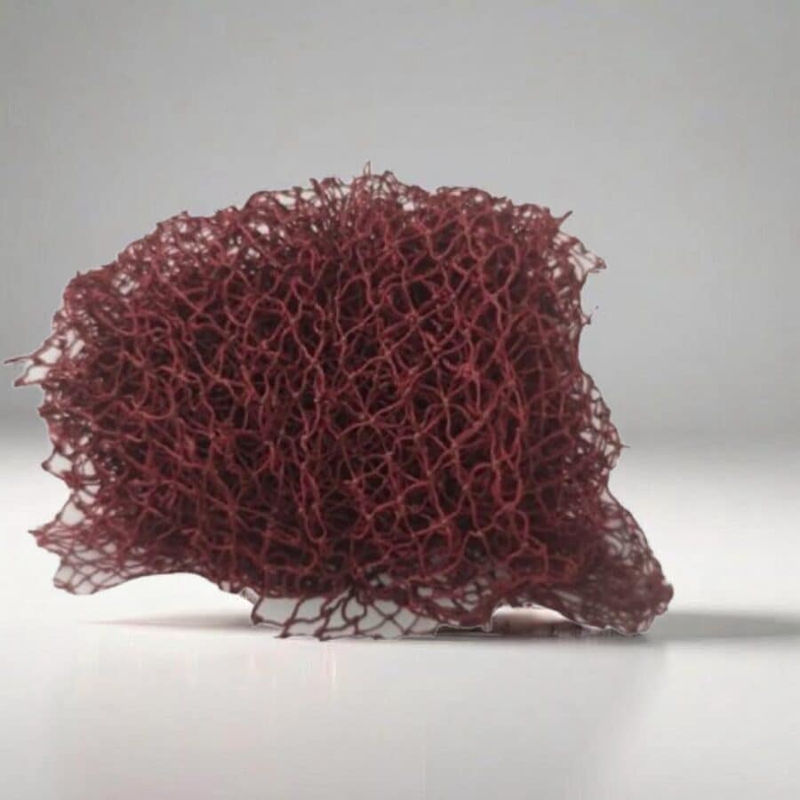 Djampé/Filet de bain-Maroc