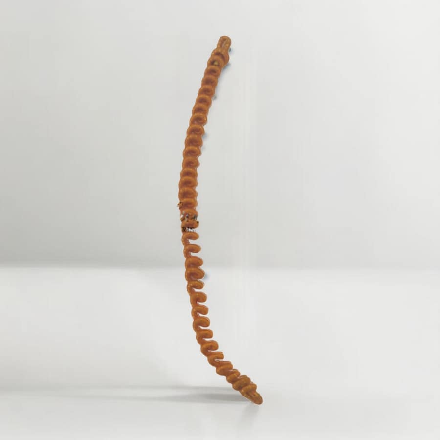 Bijou de tête jaaro dibbei