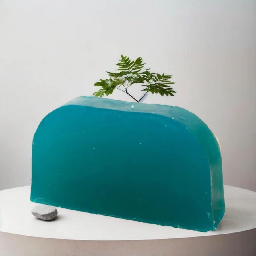 Shampoing solide Arbre à Thé et Menthe Poivrée