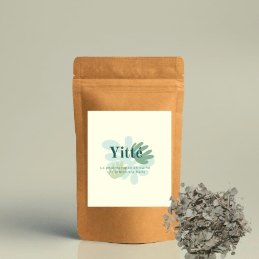 Feuilles de jujubier